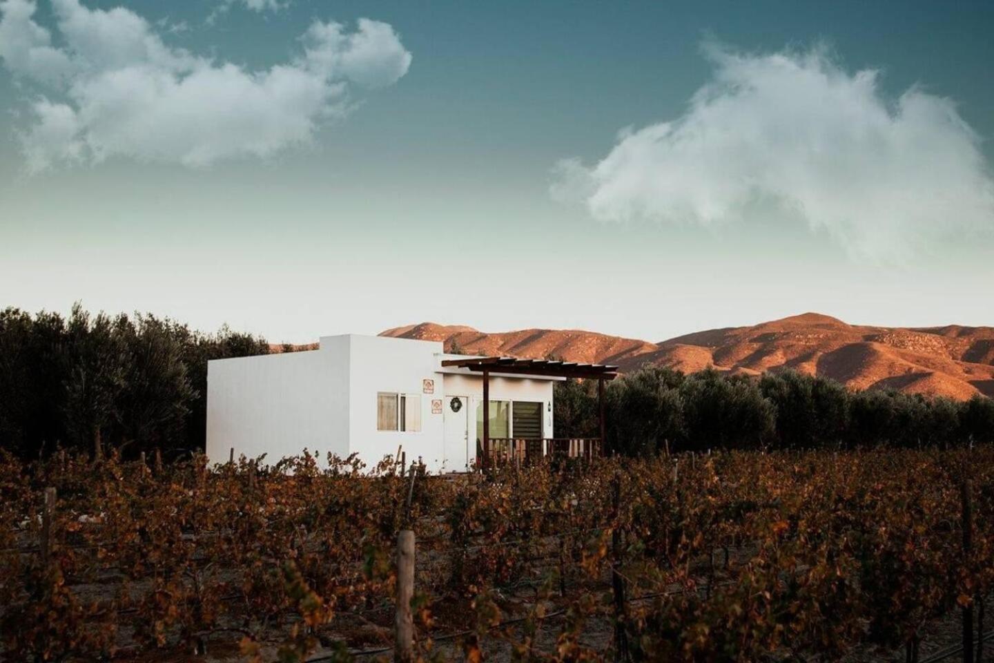 Casa Colibri Guadalupe Valley エクステリア 写真